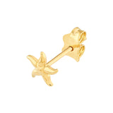 Starfish Stud Earrings - 14K Yellow Gold - by Dazyle