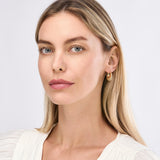 Puff Shrimp Hoop Earrings - 14K Yellow Gold - by Dazyle