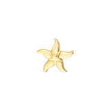 Starfish Stud Earrings - 14K Yellow Gold - by Dazyle