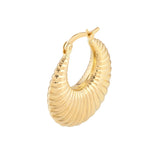 Shrimp Hoop Earrings - 14K Yellow Gold Hinge Back - by Dazyle