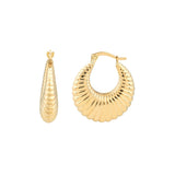 Shrimp Hoop Earrings - 14K Yellow Gold Hinge Back - by Dazyle