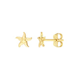 Starfish Stud Earrings - 14K Yellow Gold - by Dazyle