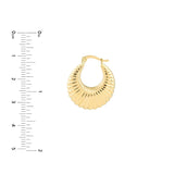 Shrimp Hoop Earrings - 14K Yellow Gold Hinge Back - by Dazyle
