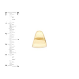 Semi Hoop Earrings - 14K Yellow Gold - by Dazyle