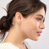 Starfish Stud Earrings - 14K Yellow Gold - by Dazyle